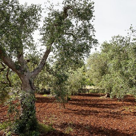 Villetta Da Zio Marcello Ostuni Exterior foto